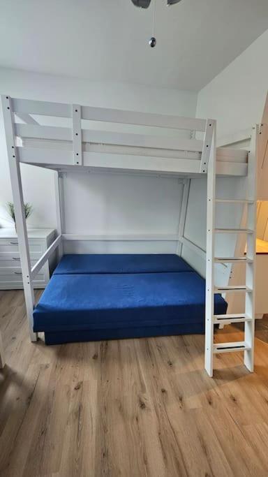 Appartement Direkt Am Fluss كوبورغ المظهر الخارجي الصورة